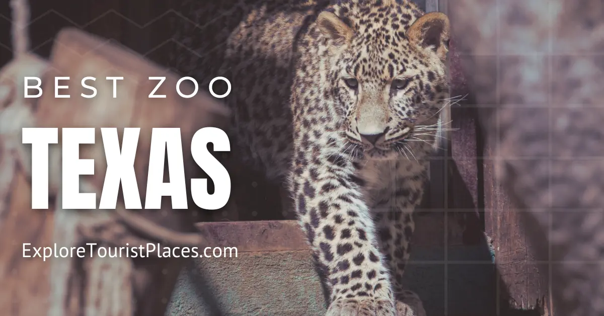 Best Zoos in Texas - Best Zoo in Texas - ExploreTouristPlaces.com